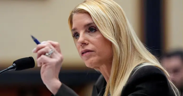 পাম বন্ডি